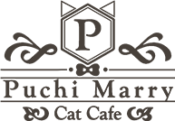 Puchi Marry【平日限定】学生さん割引でフリータイムが超お得！！【猫カフェPuchiMarry】