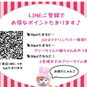 猫カフェPuchiMarryのLINE@がとってもお得に進化しました！