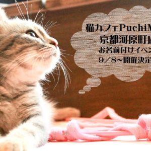 【告知】9/8（土曜）からPuchiMarry京都河原町店でお名前付けイベントスタート☆