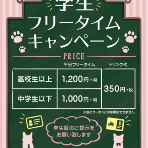 【平日限定】学生さん割引でフリータイムが超お得！！【猫カフェPuchiMarry】