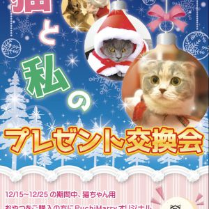 【猫カフェPuchiMarry】クリスマスイベントスタート！12/15から