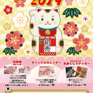 【本日より通常営業！】あけましておめでとうございます！猫カフェPuchiMarry