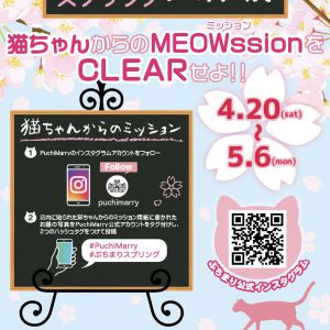 【好評開催中！】ぷちまり大作戦！猫ちゃんからのミッションをクリアせよ！【4/20-5/6】