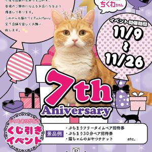 ✨ぷちまり創設7周年イベント✨